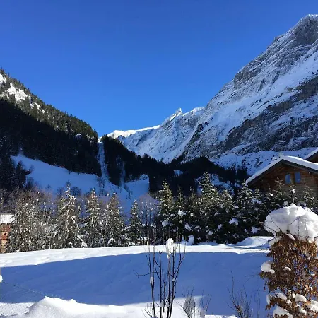 Rez-de-jardin Avec Terrasse Dans De Gamme Proche Centre Et Pistes De - Fr-1-464-29 *